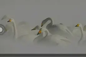 背单词软件大测评！这些好用的背单词软件，你都知道吗？图片