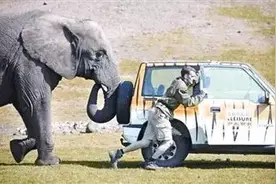 行车宝典车辆在路上抛锚了，打电话叫拖车过来需要注意些什么？图片