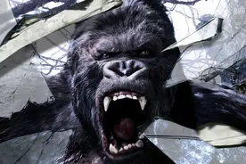 TLD 猴年限定牛仔 “黑猿” 正式来袭图片