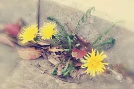 街访 | 在江南大学，哪一刻想为自己鼓掌？（文末有福利）图片