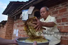 [精准扶贫 上思这么干]徒手捅蜂窝的老人 不简单!图片