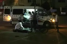 老人骑车猝死 收养的8只流浪狗不忍离去图片