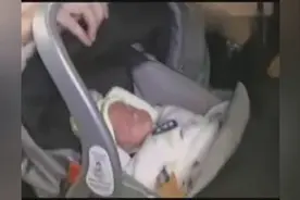 实拍：八胞胎妈妈的辛酸生活，妈妈是最伟大的人！视频封面