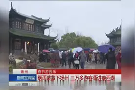 春节游园乐 烟雨蒙蒙下扬州 三万多游客涌进瘦西湖视频封面