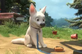 小喵小狗大反差：狗狗乞讨太萌啦！人类给许多吃的，但猫却被赶走