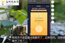 我的支付宝五福卡已集齐，你的呢？视频封面