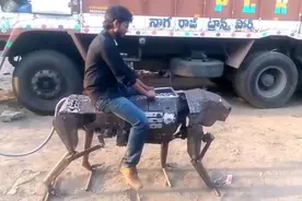 印度三哥手工制作机械老虎，至少还能动！视频封面