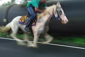 战马和汽车比赛，看了就知道马能跑多快了