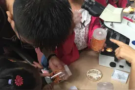 中科院微生物所公众科学日：叩开隐秘世界的大门图片