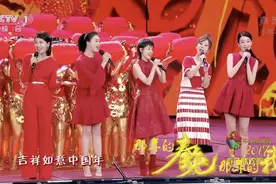 2017春晚｜董卿的口红色号成爆款 TFboys为春晚开场图片