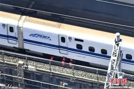 狗掉进轨道致日本新干线停运延误 一度引发骚动图片