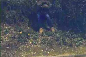 男子喝高醉卧草地 民警帮忙找家 电话一接通被其妻痛骂图片