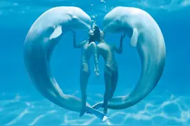 哈尔滨极地馆2018年春节期间运营时间公布图片