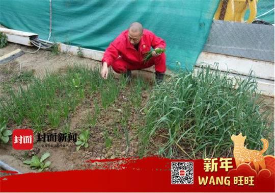 成都小伙在巴基斯坦做钻井工程师 这个新年最快乐的事就是吃中餐贴春联