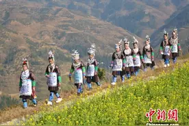 大年初一 广西侗乡民众盛装回乡祭祖图片