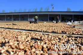 承德平泉市获2017“中国最佳投资环境城市”称号图片