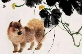 夜翻书｜狗这一辈子图片