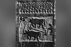 清代的人口闯关：被甘薯、土豆、玉米拯救的清王朝图片