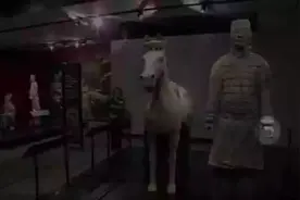 心疼！中国兵马俑在美国展出，手指被折断并偷走图片
