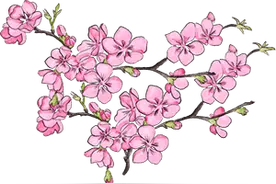 美炸！增城这个桃花仙境，你去打卡了吗？图片