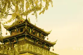 都江堰市”捡烟头爷爷“暖心举动走红网络图片