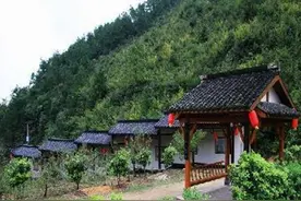 打造田园生态综合体 上虞长塘桃园村将成“世外桃源”图片