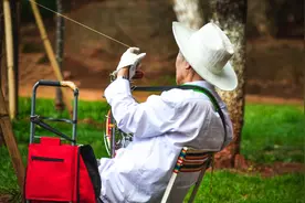 网传外地身份证可办杭州敬老卡 免费坐公交逛公园？图片