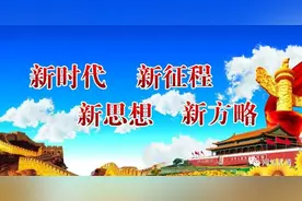 国际海豹日：可爱化了 有一种萌叫海豹宝宝图片