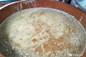 超详细！花生麸水（液肥）制作及使用技术手册图片