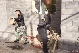 东风路街道办事处5项措施应对随处便溺图片