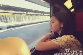 娱乐圈里属狗的明星 胡歌袁弘都36岁了图片