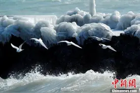 美景“冻”人 欧洲多地遭遇极寒天气图片