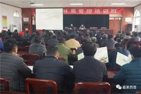 西营积极开展春季草履蚧等病虫害防治工作图片