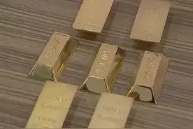 误入歧途的笨毛贼Top10排行榜！这智商我劝你还是转行吧图片