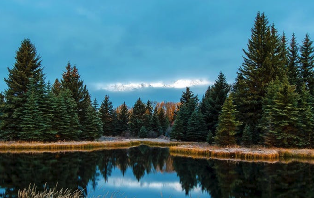 2018������ֹ���������� �߹�·�����᲻Ҫ����