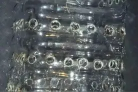 谁还买菜啊，空油桶剪2刀，蔬菜多到吃不完！图片