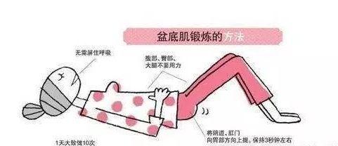 盆底肌力评估1级怎么办