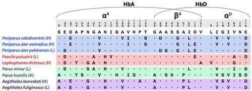 科研人员发现鸟类适应青藏高原极端环境的分子进化机制