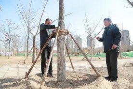 滨州市新立河两岸（黄二至黄五）将打造植物景观为主的开放式休闲公园图片