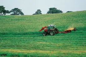 新一轮新起点：机构改革这些年——农业部成立于1949年，历经两次撤销合并图片