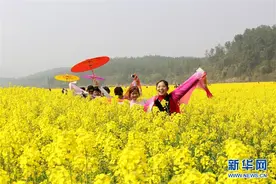 花开引客来图片
