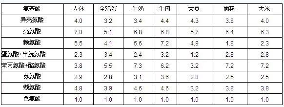 人体必需氨基酸，赶紧来了解