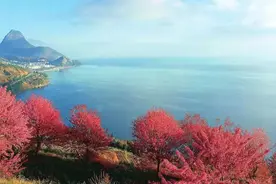 五彩斑斓的玉溪，粉红色不再是回忆图片