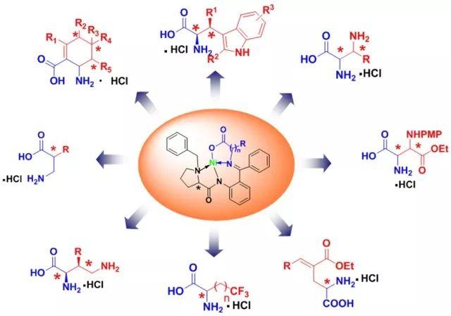 人体必需氨基酸，赶紧来了解