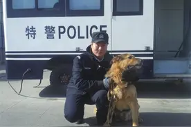 警犬“三剑客”，为春运保驾护航图片