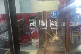 带宠物狗进餐饮店就餐，你能接受吗？图片