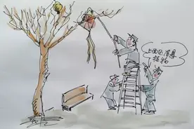 管护月历｜三月青岛园林绿化管理养护工作月历图片