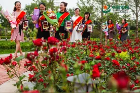 妇女节，这些最美军嫂等你点赞！图片