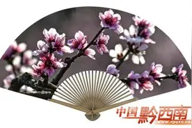 寻春意 赏美景 黔西南赏花攻略图片