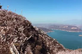 荆紫仙山，在那桃花盛开的地方图片